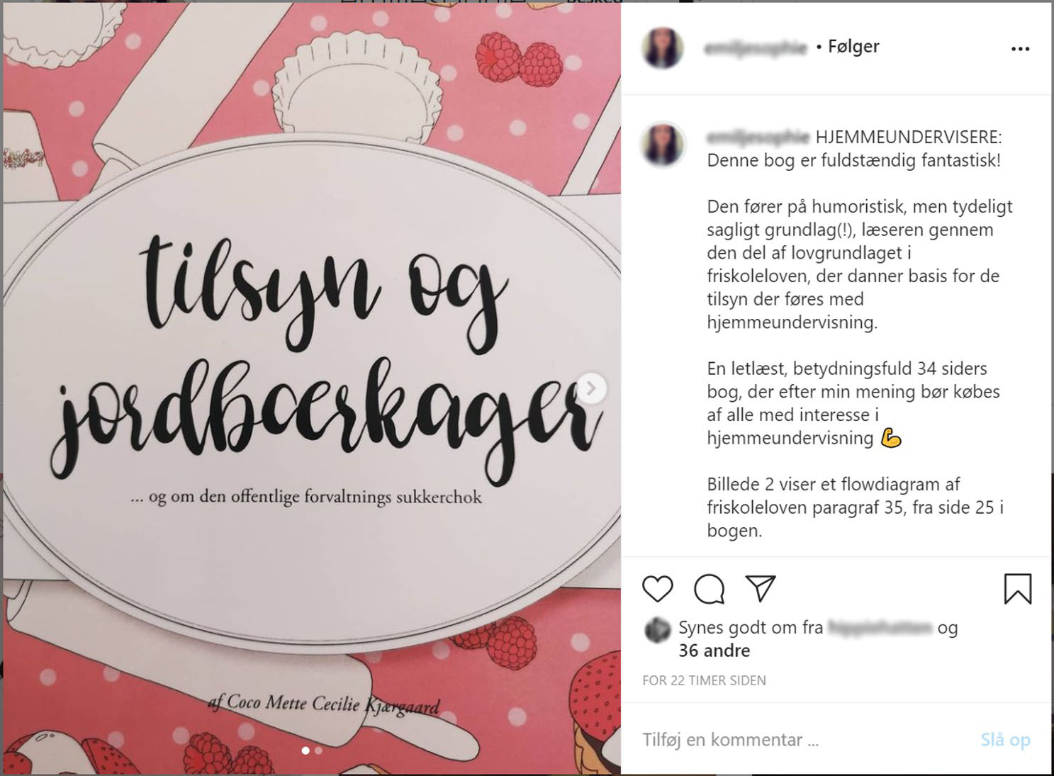 Tilsyn og Jordbærkager - Billede 7
